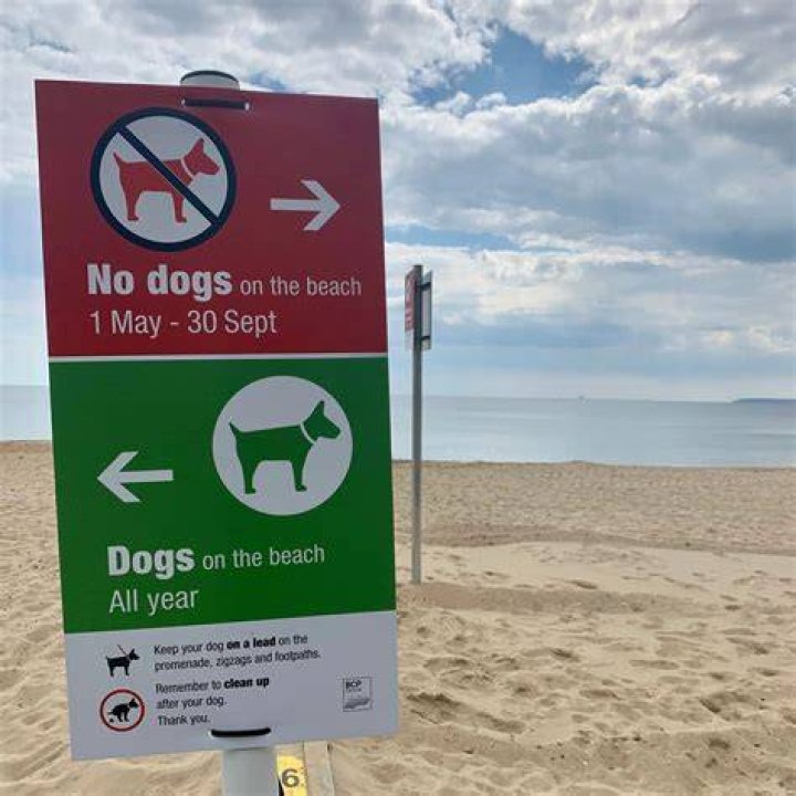 Are dogs allowed on compton beach?