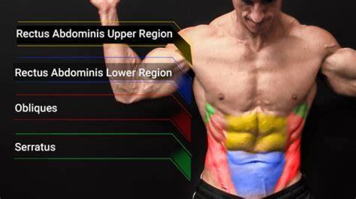 Are obliques part of your core?