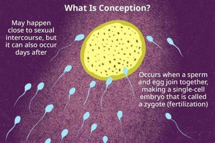 Can i feel if i conceived?