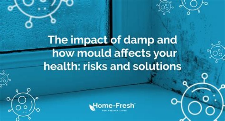 How dampness affects your health?