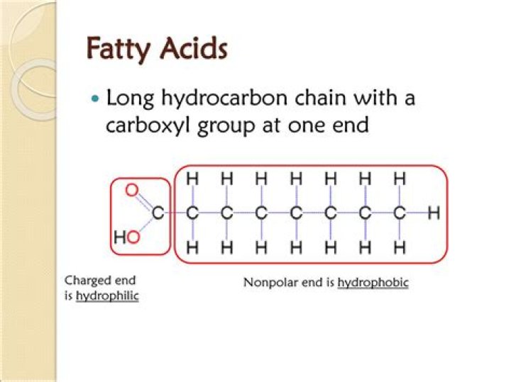 Is carboxyl hydrophobic or hydrophilic?