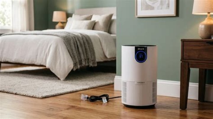 Is it worth buying air purifier?