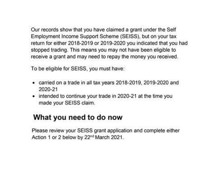 Should seiss grants be included in partnership accounts?