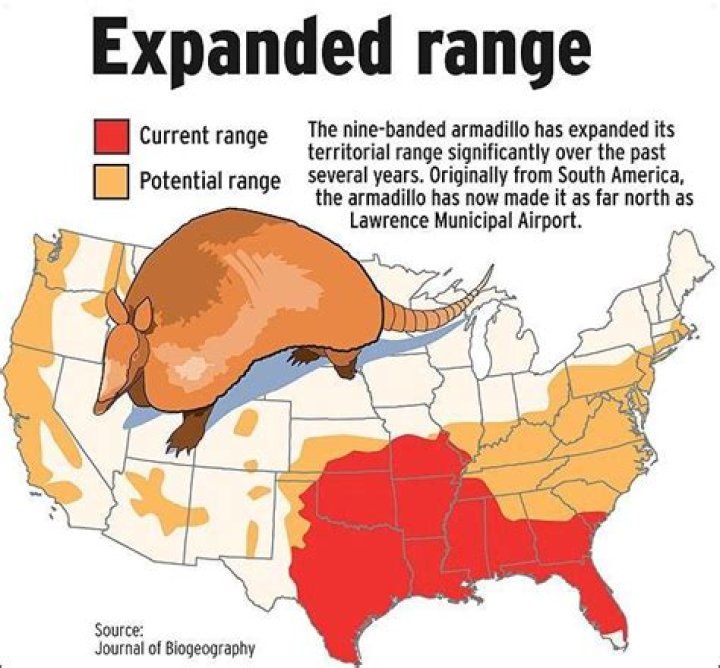 Were do armadillo live?