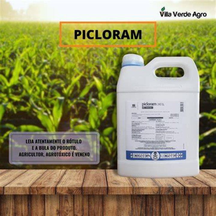What is the meaning of picloram?