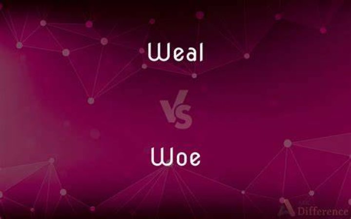 What is weal and woe?