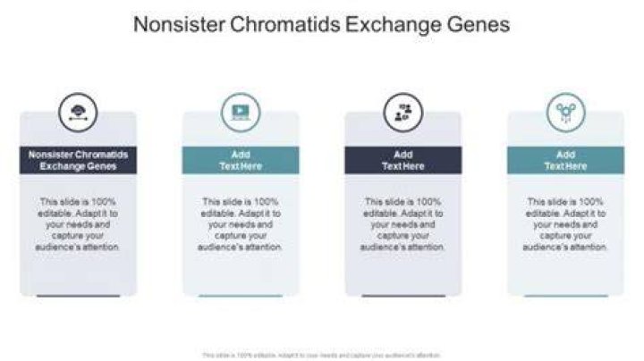 When nonsister chromatids exchange genes?