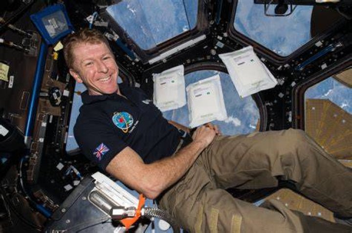 When was tim peake on iss?