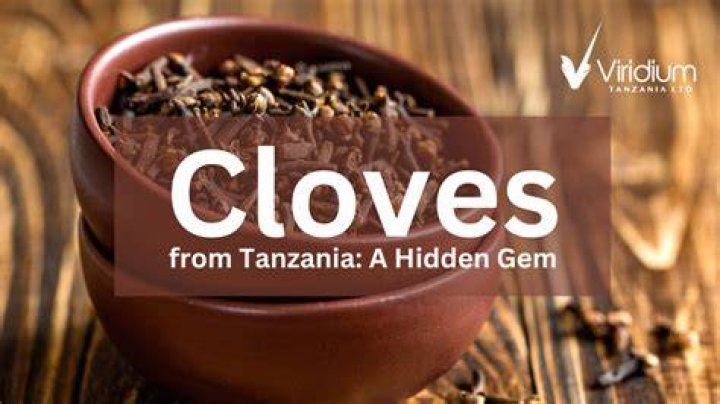 Who introduced cloves in tanzania?