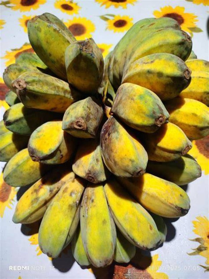 Why saging is good?